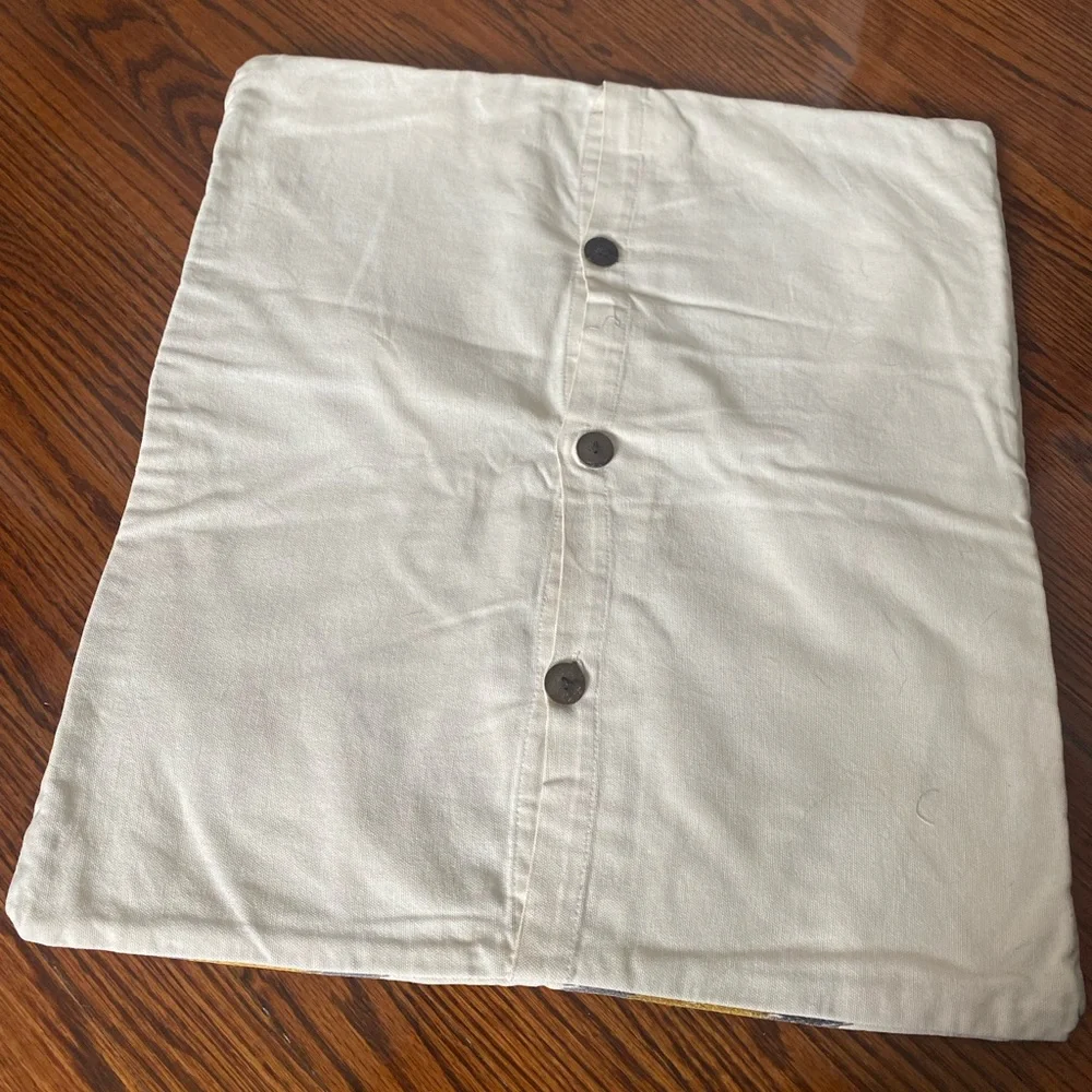 WEST ELM Embroidered Diamond Ikat Pillow Case